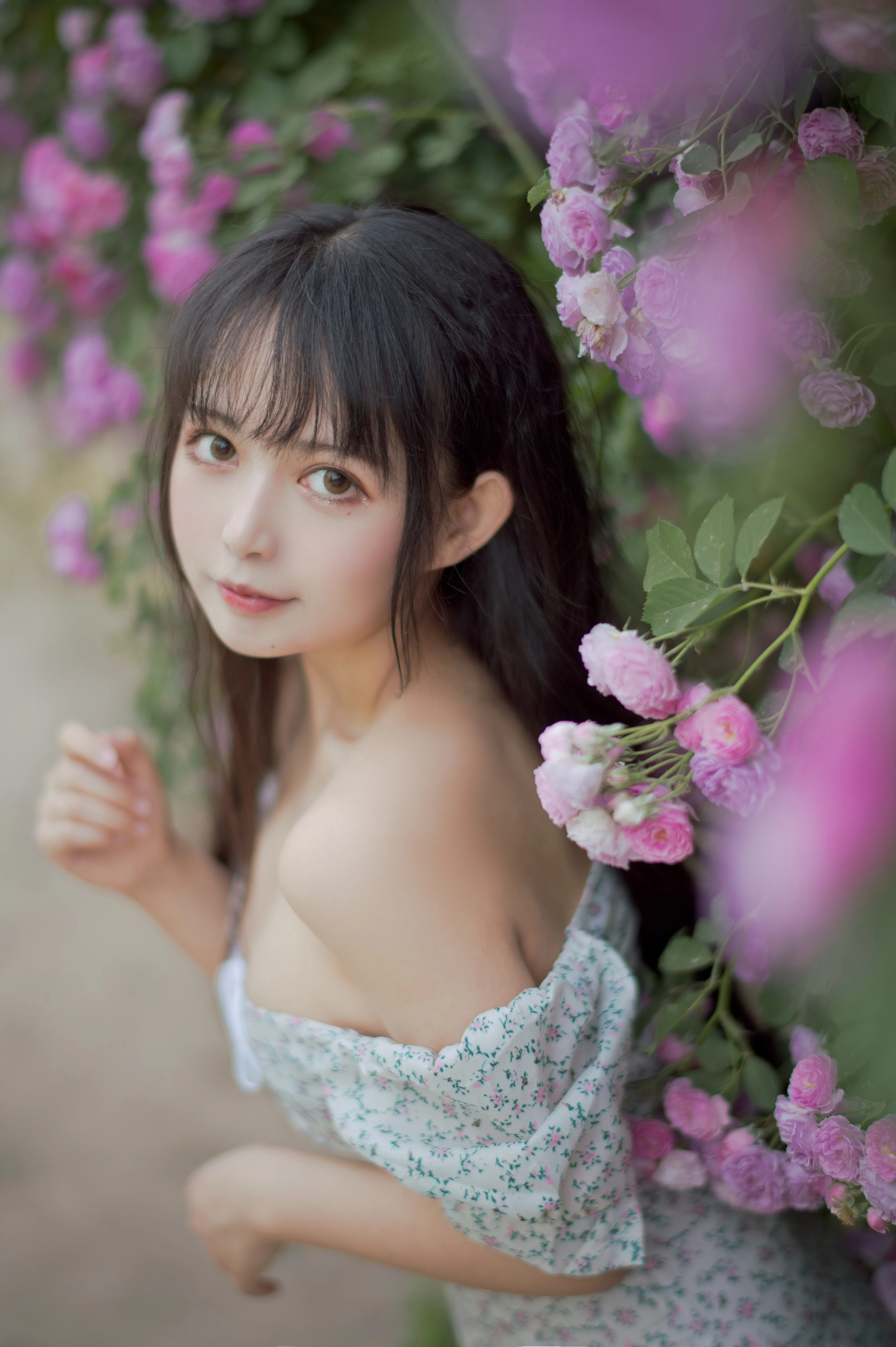 喵糖映画 - VOL.338 蔷薇少女 1