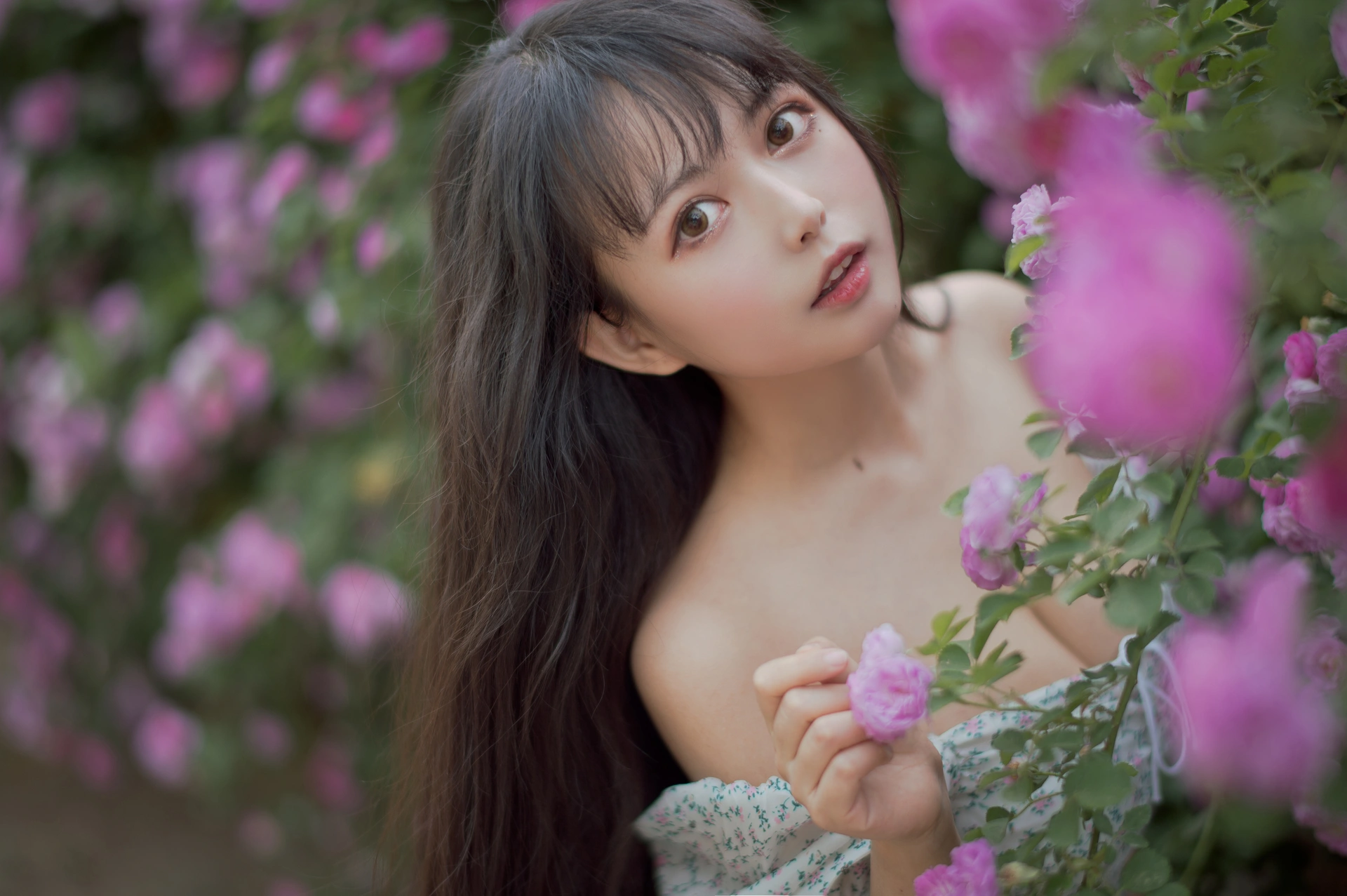 喵糖映画 - VOL.338 蔷薇少女 2